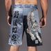 Шорти для ММА Meerkatsu Tiger Shorts