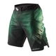 Шорти Peresvit Legend Fightshorts Forest Green