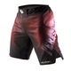 Шорты Peresvit Legend Fightshorts Sunset