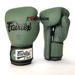 Боксерські рукавички Fairtex (BGV11-gn, Зелений)